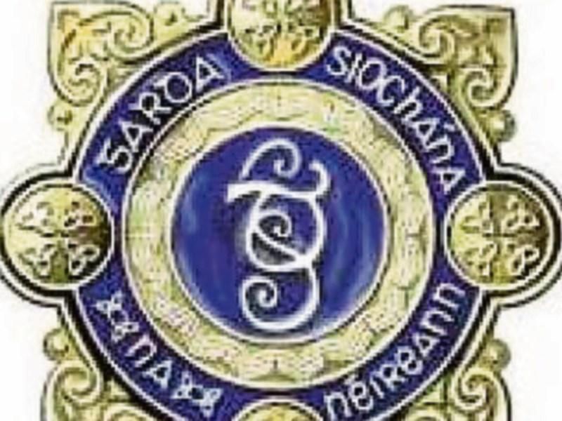 Gardai investigate disappearance of cows from Co. Tipperary farm