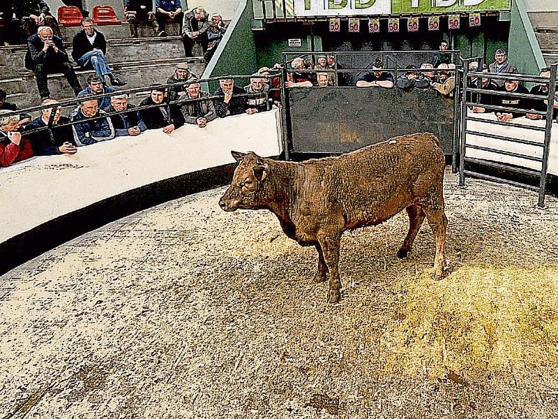 New licences will be required under new legislation for marts