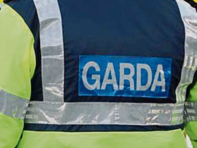 Five arrested for public order offences in Tipperary Garda District&nbsp;