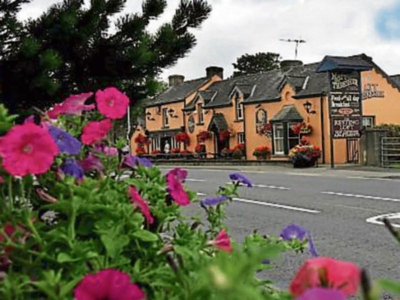 Tipperary celebrates: President Higgins to visit Birdhill to mark National Tidy Town award