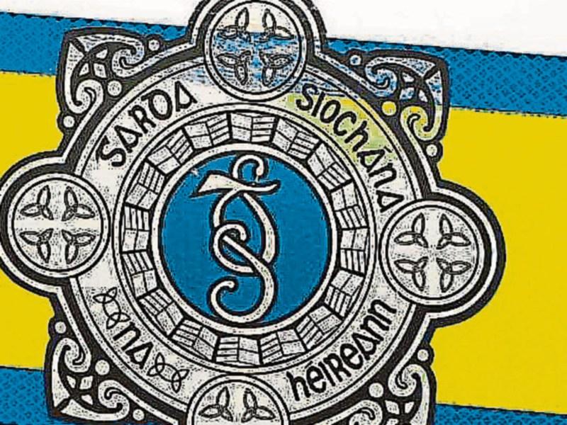 Garda and passer by rescue drowning man from river in Carrick-on-Suir