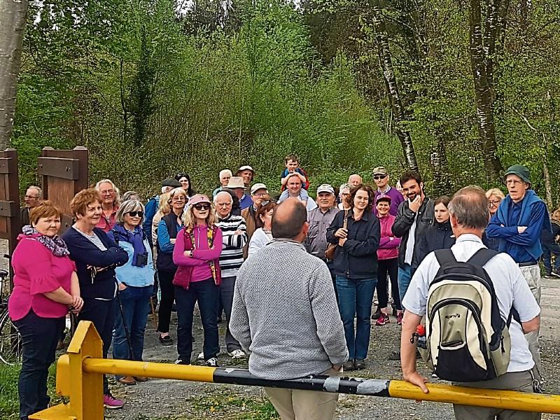 Tipperary naturalists urged to take a walk on the wide side in Cloughjordan