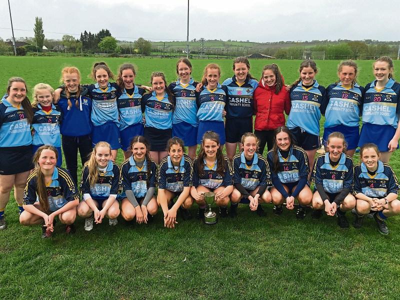 Cashel Community School camoige panel