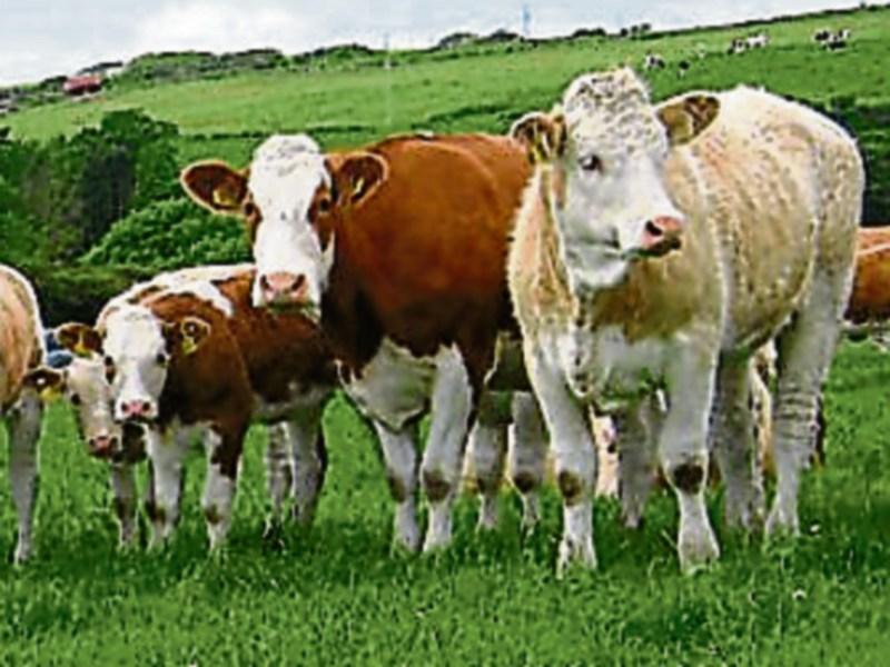 Tipperary farming: Brazil failing to hit EU standard amid reports of 'bribery'