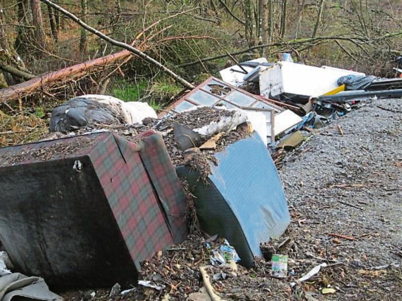 Dumping of litter a national &lsquo;shame&rsquo; - Cashel Tipperary Municipal District 