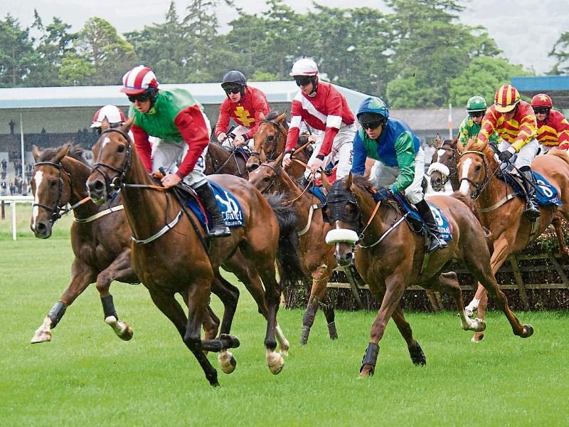 Clonmel Races
