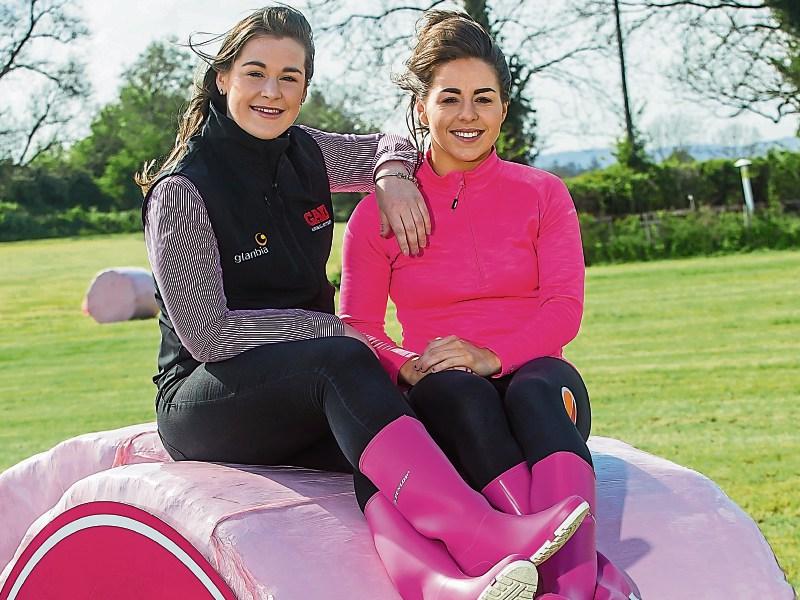 Tipperary farmers are urged to get behind pink bales cancer fundraiser