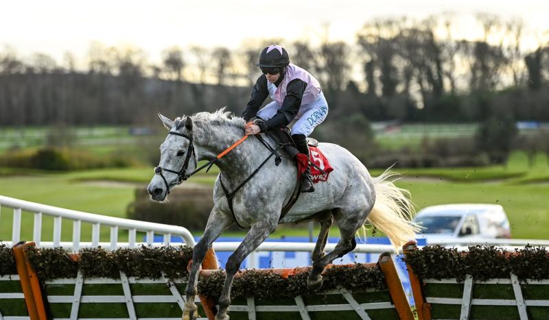 Horses with Tipperary connections on course for Paddy Power Irish Gold Cup at Leopardstown