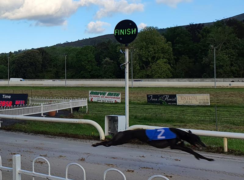 National Produce Stakes