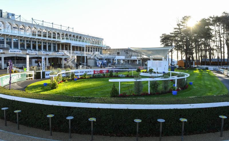 Tips and analysis for Thursday’s card at Leopardstown