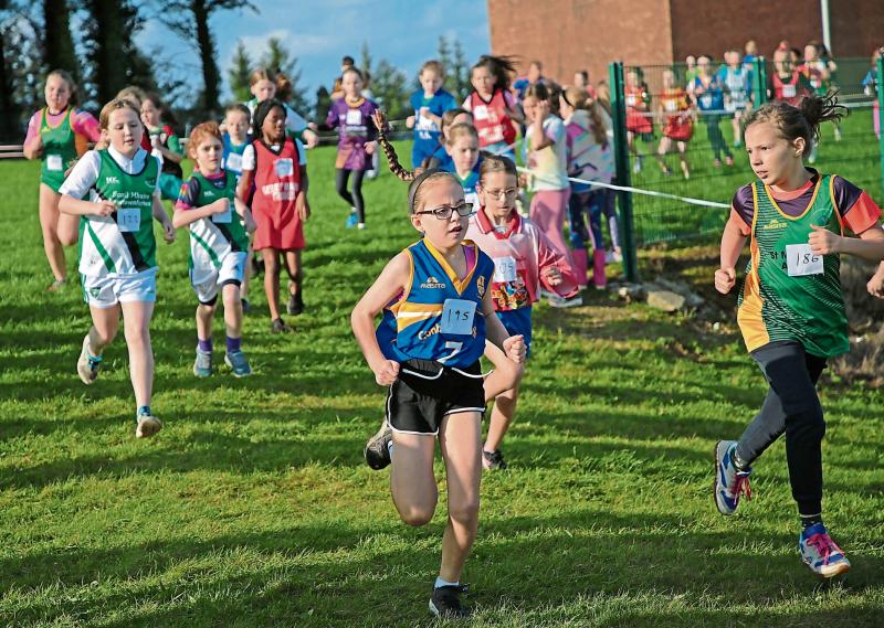 Hurry up - Make sure your school has entered for the Tipperary Cross Country Championships