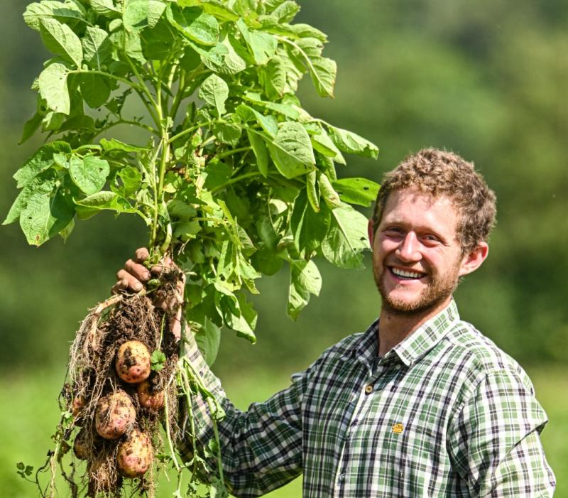 How Cloughjordan Community Farm brings vibrancy and life to rural Ireland