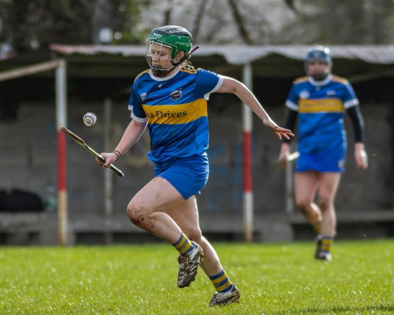 REVIEW: Big results for Clonoulty Rossmore and Burgess Duharra as last eight takes shape