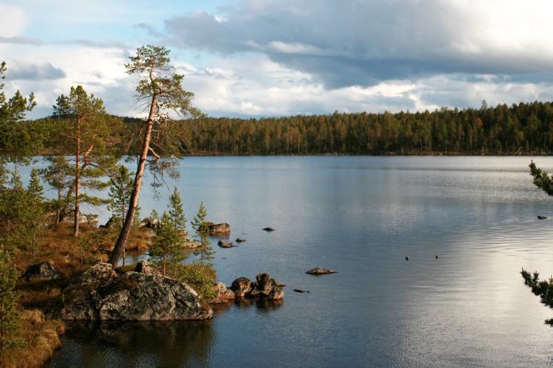 Margaret Rossiter Column: Walking on the Russian border