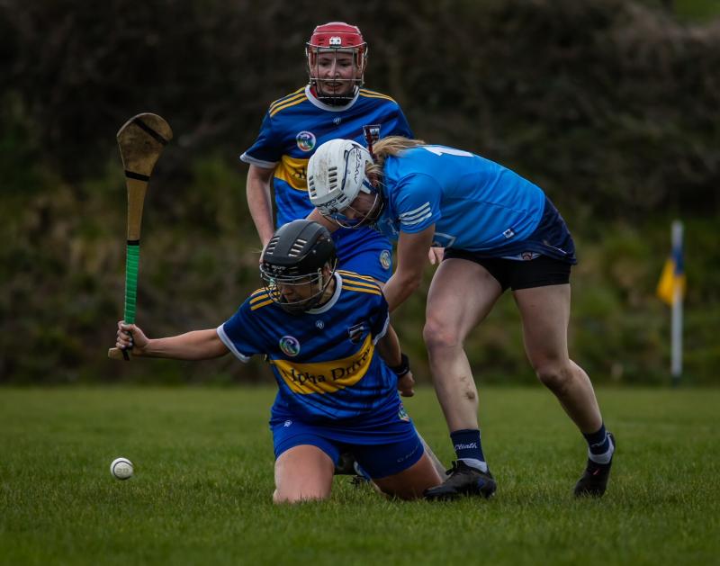 Tipperary announces this year's under 16 camogie panel
