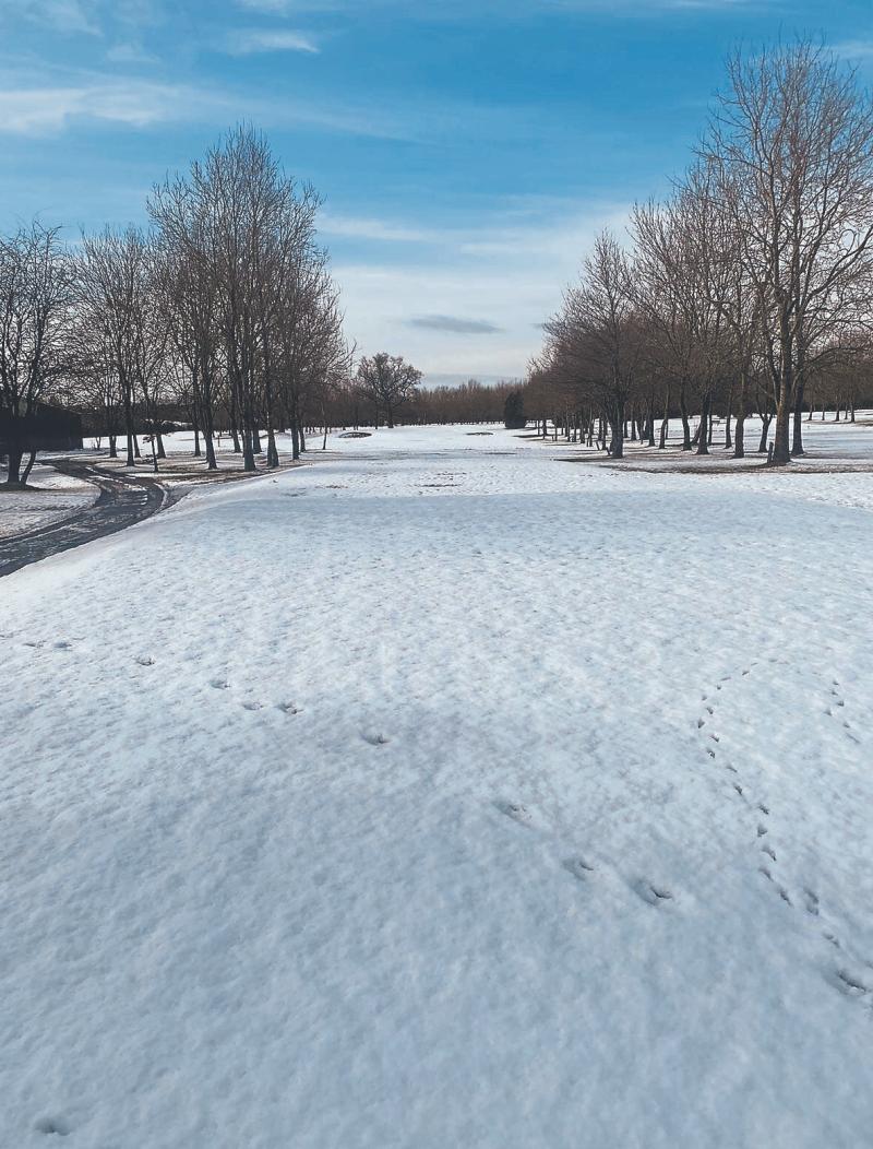 Golf in Tipperary:  Slievenamon golfers on the "nice list" for Christmas