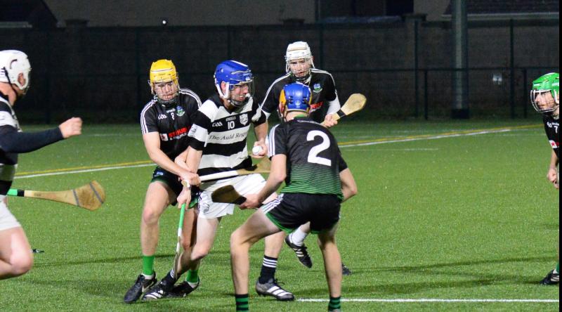 Single point victory for Carrick Swan in south Tipperary Junior B hurling final