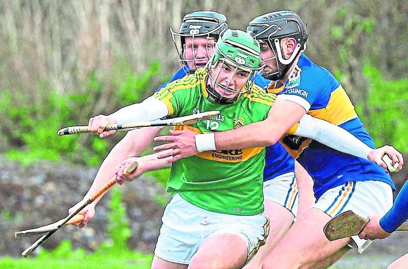 Cathal Bourke