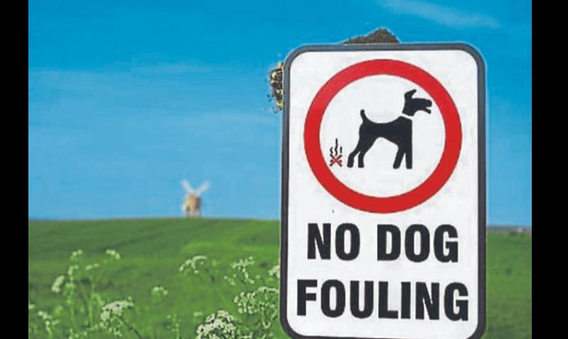 No fines for dog fouling were issued in Tipperary last year