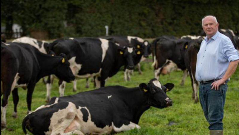 Tipperary TD lobbies minister to cut cost of road closure licences for cattle underpass projects
