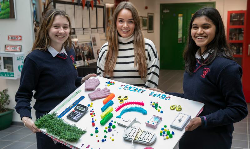 Tipperary students win award at final of National SciFest competition