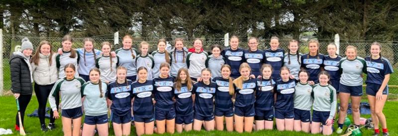 Carrick-on-Suir school team wins Munster Colleges Junior B Camogie title