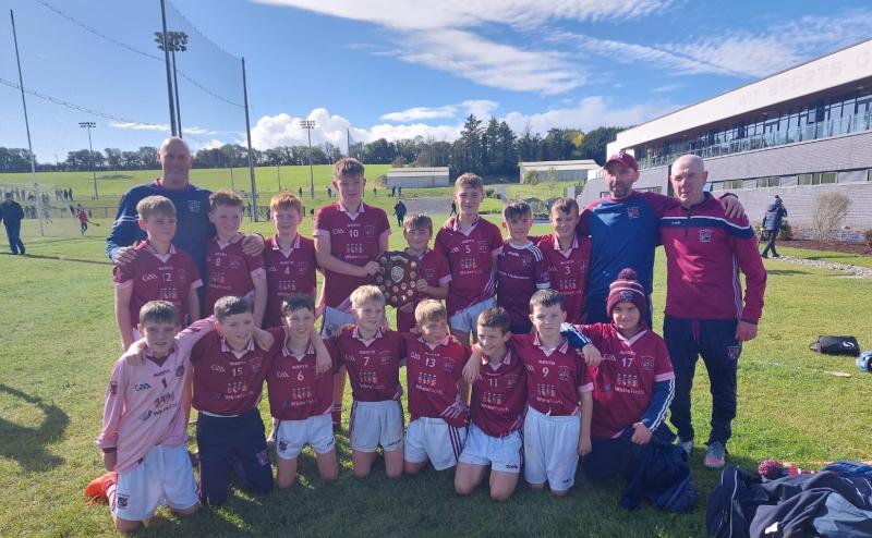 St Molleran's GAA Club's U12 hurlers win county championship title 