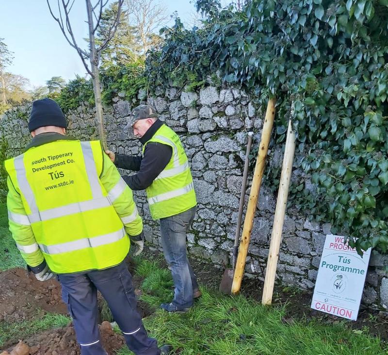  'It’s the TÚS guys that add the extra touch' - Cahir thankful for help with new tree planting 