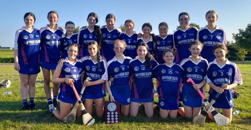 Super week for west Tipperary camogie club with three big wins