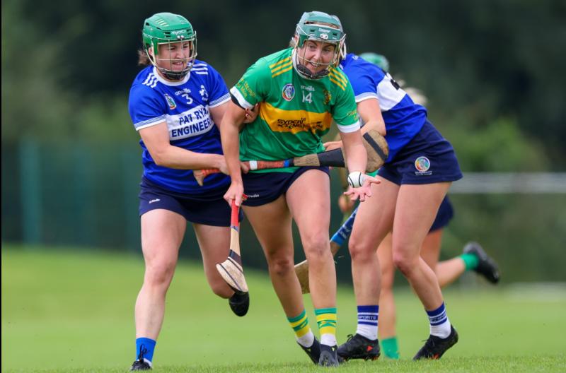 Four important senior games down for decision in Tipperary camogie this weekend