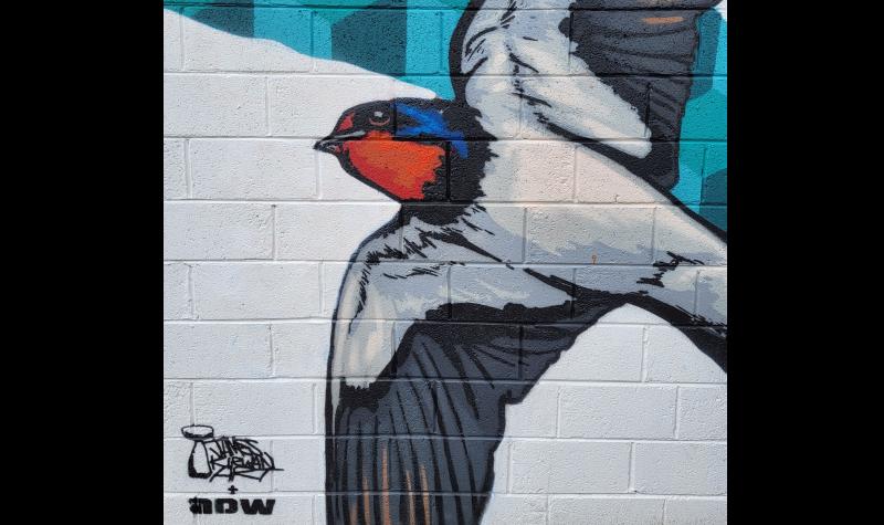 WATCH: Check out these amazing murals painted in Thurles town