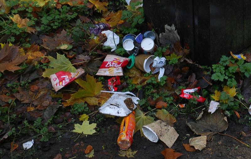 Gardaí are not responsible for tackling Tipp's litter problem, Tipperary JPC hears
