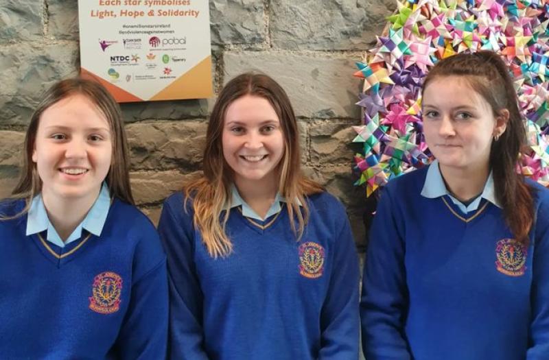 Borrisoleigh students get involved in Tipperary domestic violence awareness campaign 