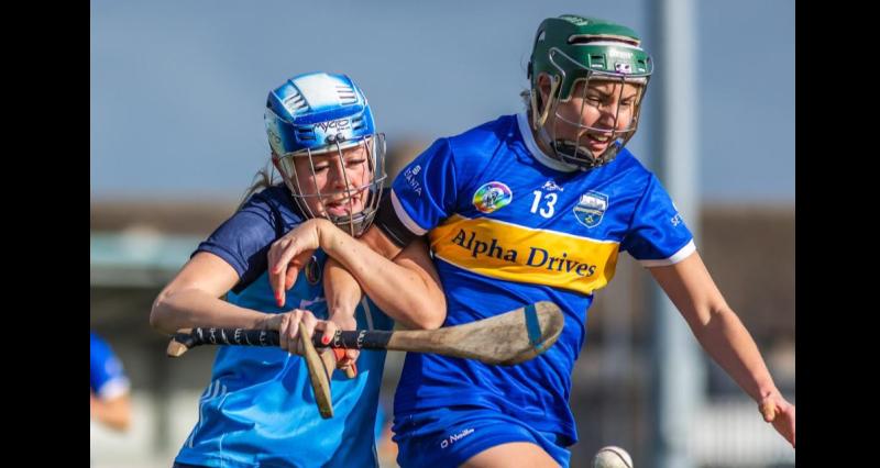 PREVIEW: Tipperary senior camogie team get All-Ireland campaign underway this Saturday