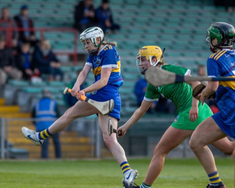 Tipp put Limerick to the sword in Munster clash