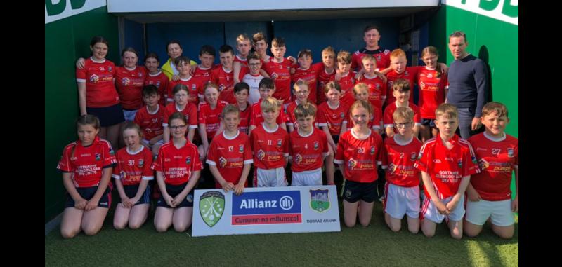 IN PICTURES: Cumann na mBunscol 2023 delivers great action from young stars