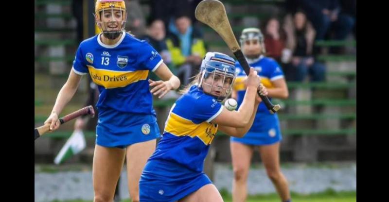 Tipperary juniors safely into All Ireland quarter-final after strong win over Cavan