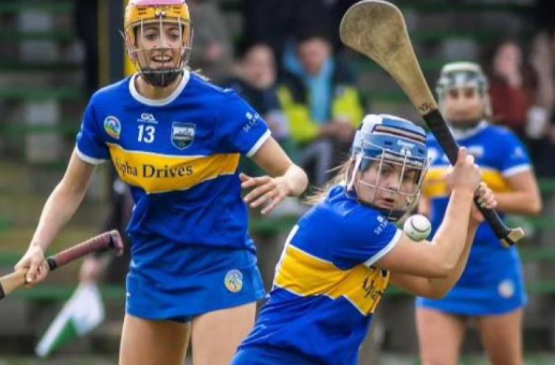 PREVIEW: Tipperary Junior camogie team get ready for final four clash with the Rossies