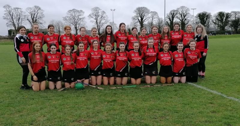 Coláiste Phobal Roscrea's fantastic Senior Camogie Panel lose by just two points in All-Ireland Final