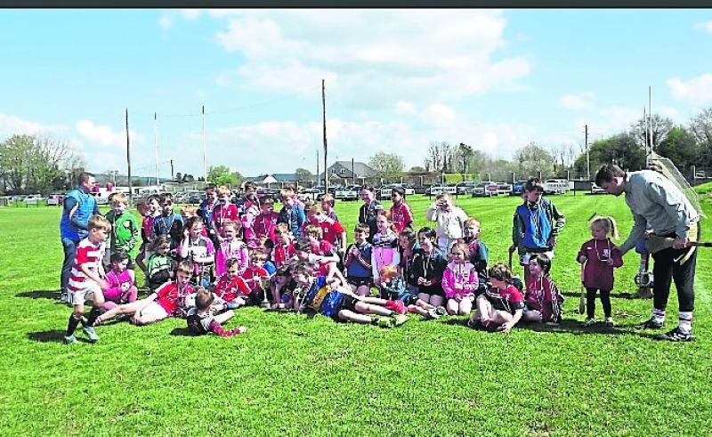 Roscrea  GAA Easter hurling games 2022 proves a great success