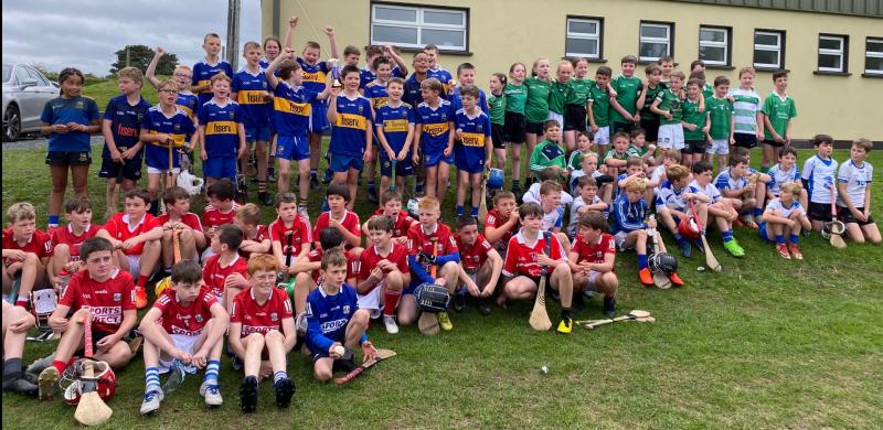 Tipperary team comes out tops over Waterford, Cork and Limerick in U-11 Blitz