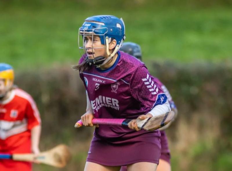 Tipperary camogie reveal club team and players of the year after public vote