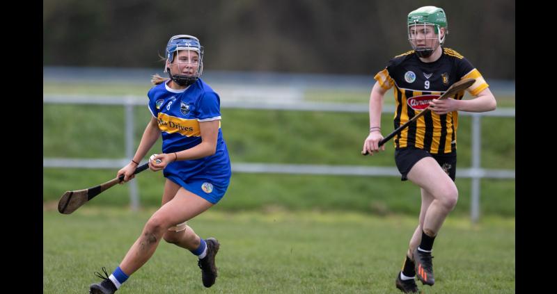 Late comeback falls short for Tipp minor camogie team against Kilkenny in championship opener