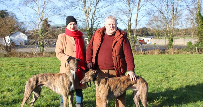 Clonmel will be the mecca for coursing followers from all over the country this weekend 
