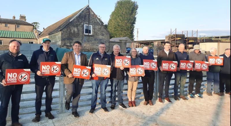 North Tipperary IFA renews calls to prevent attacks by dogs on sheep