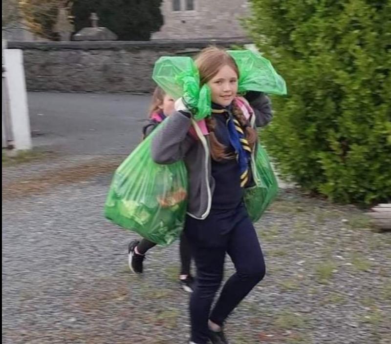 PICS: Tipp Town Scouts help with big clean up around town