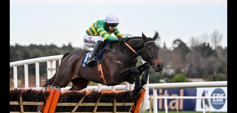 Opening race on day one of Leopardstown Racing Festival won by Tipperary trainer