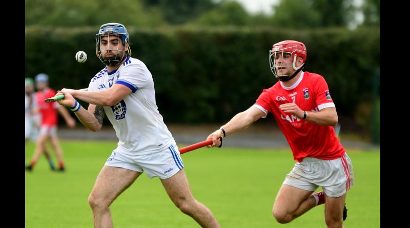 Gortnahoe/Glengoole prevail in south and mid Tipperary hurling championship clash