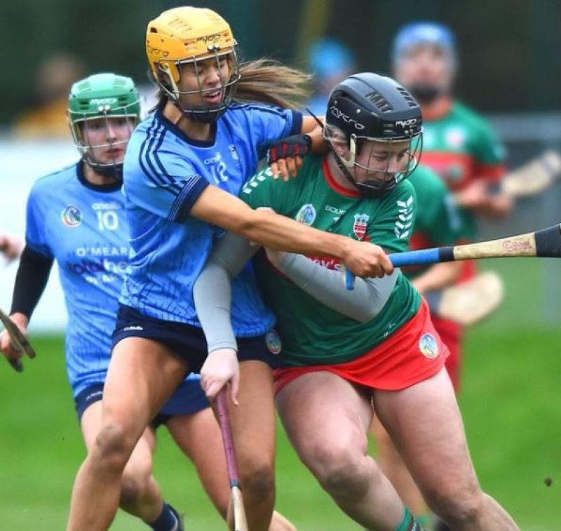 Drom & Inch exact revenge to claim Munster senior title with win over Clare champions