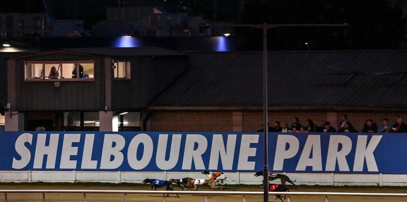 Dog trained in Tipperary is favourite for Irish Greyhound Derby 